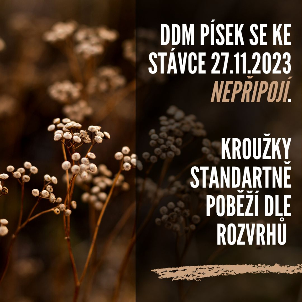 DDM Písek se ke stávce nepřipojí